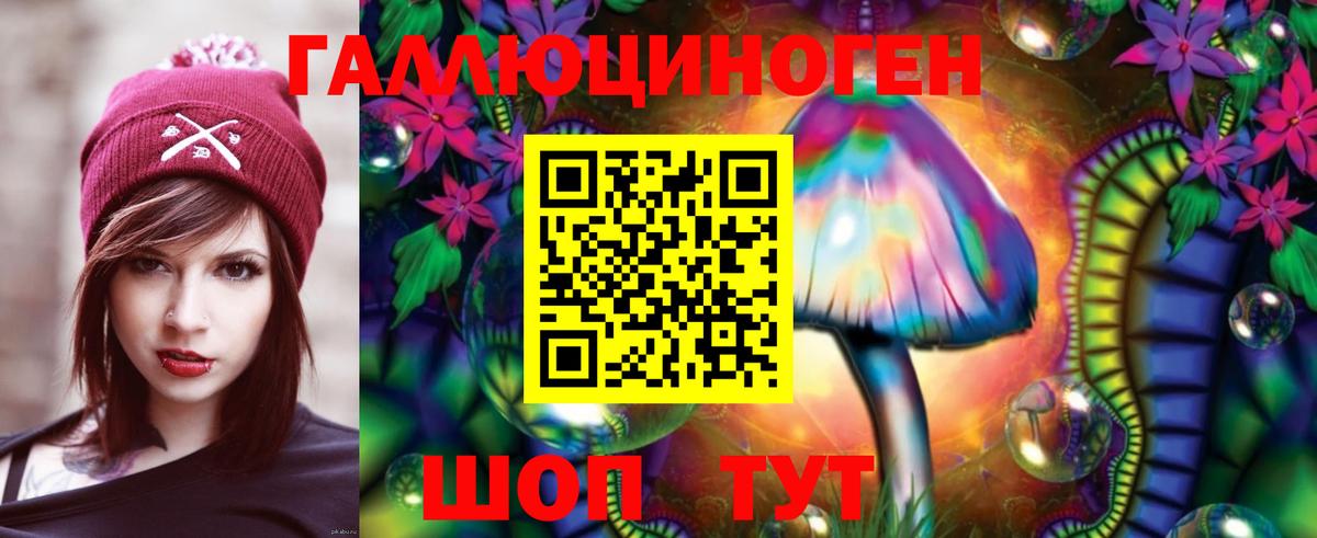 Петрозаводск  Псилоцибиновые грибы мицелий  Вход с VPN  Псилоцибиновые грибы мухоморы 
