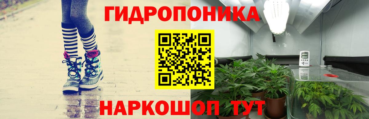 Каннабис THC 21%  Бошки Шишки гибрид  Каннабис White Widow  Вход с VPN  Петрозаводск 